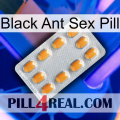 Black Ant Sex Pill cialis3